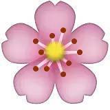 深化行業認知，共謀發展新篇——中煤蒙大公司特邀孫惠民授課經濟信息咨詢